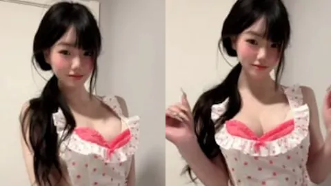 野心坏蛋