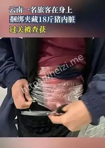 云南河口海关猪内脏夹带案