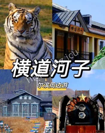 东北虎林园达人探访经历